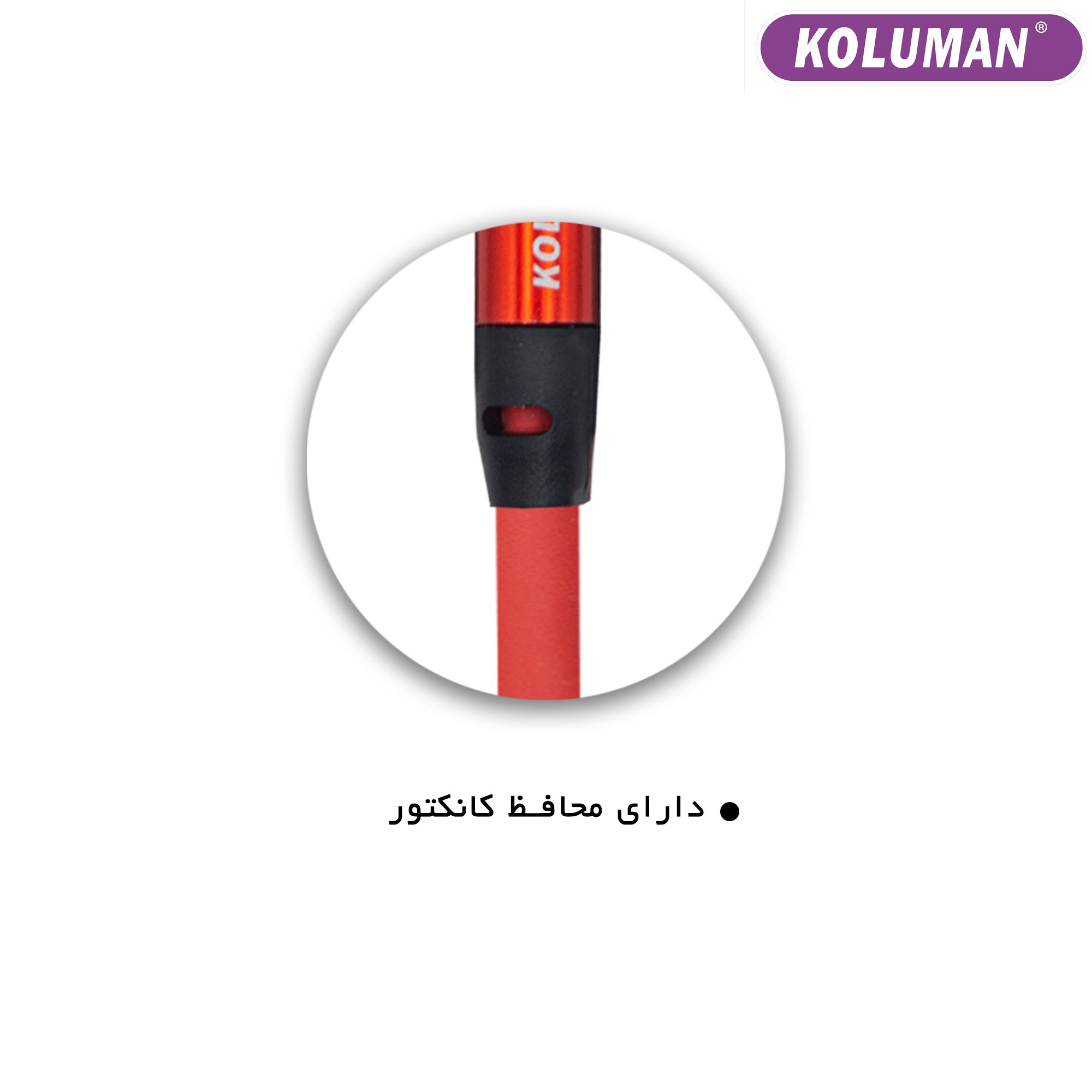 1766352631_B6xoHRya2a.webp