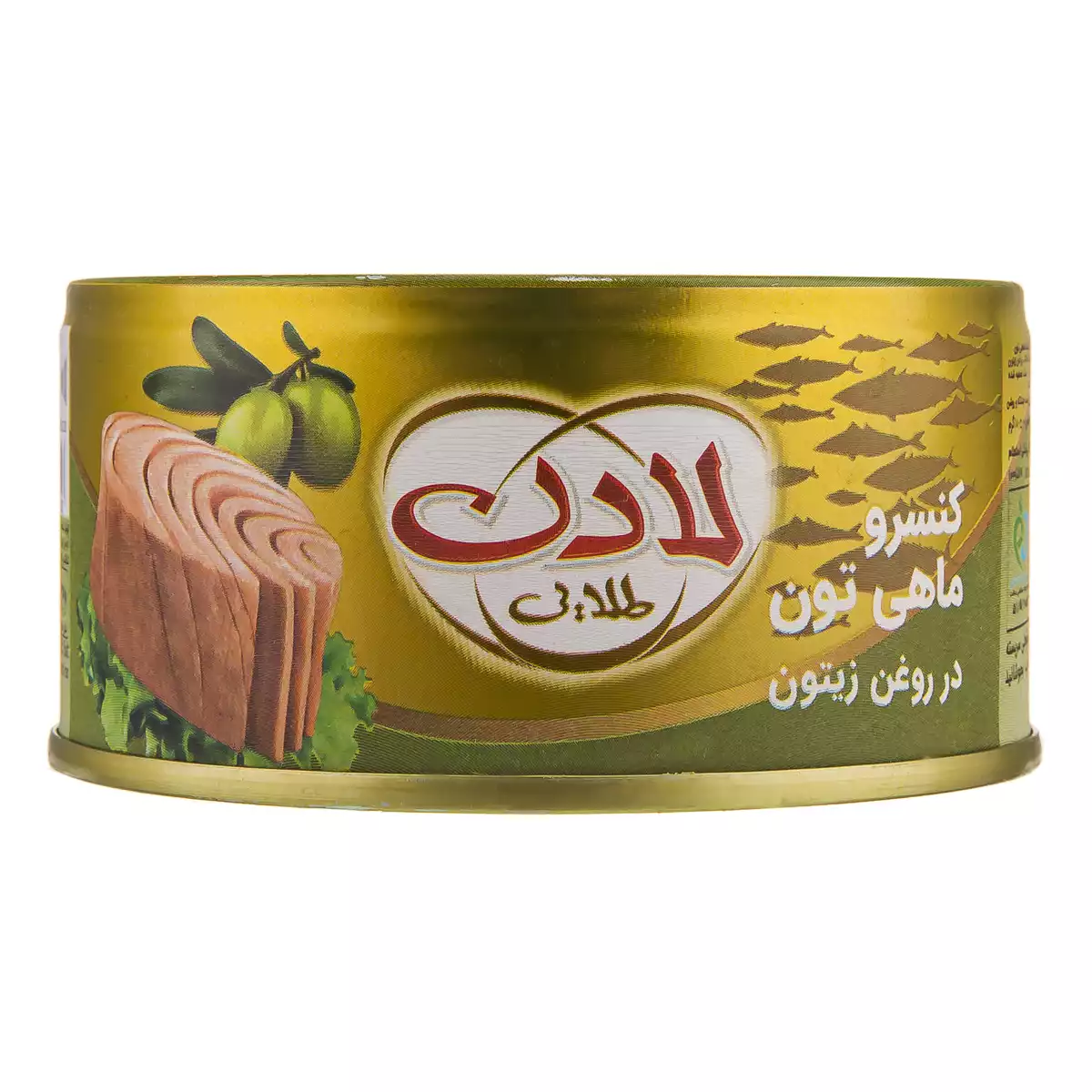 1766579468_ojP3VMusJx.webp