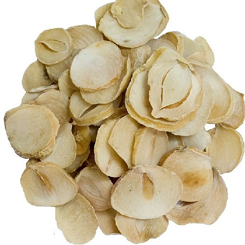 1766579469_RjLbEPttJU.webp
