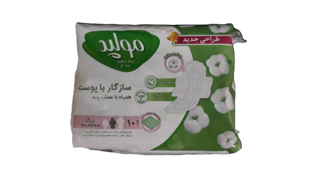 1766579474_TN49bDsSW8.webp
