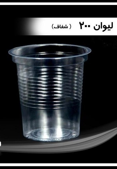 1766579570_wkSDgXeqB7.webp