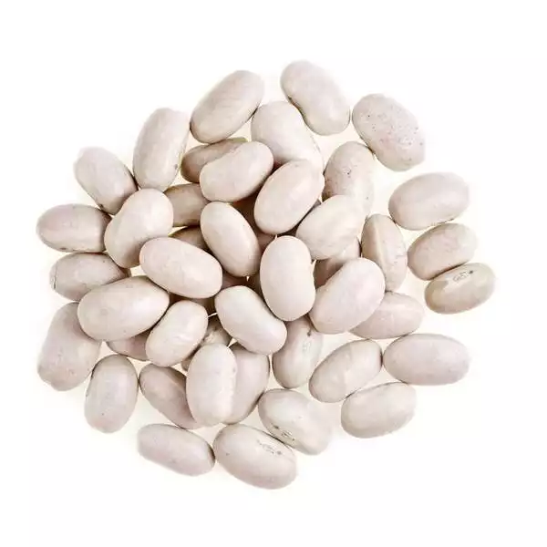 1766579579_cXniYkzEPM.webp