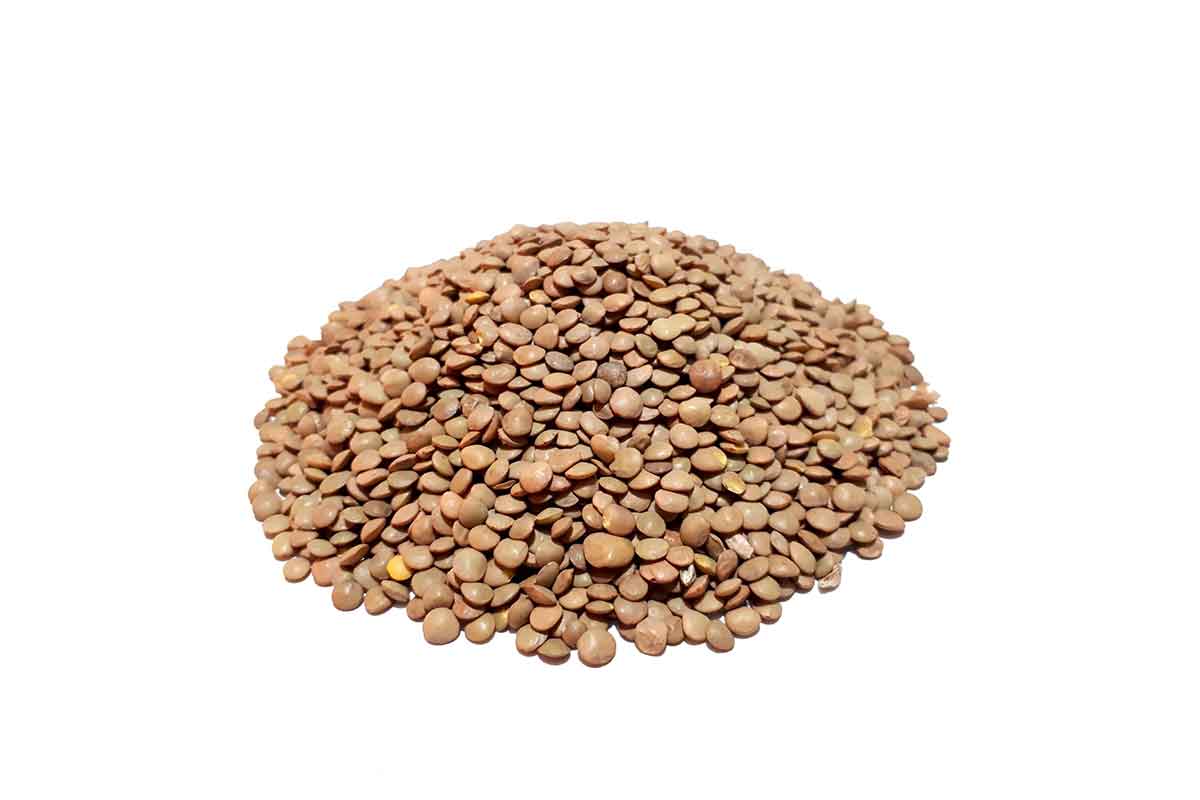 1766579584_U0CZDdksiW.webp