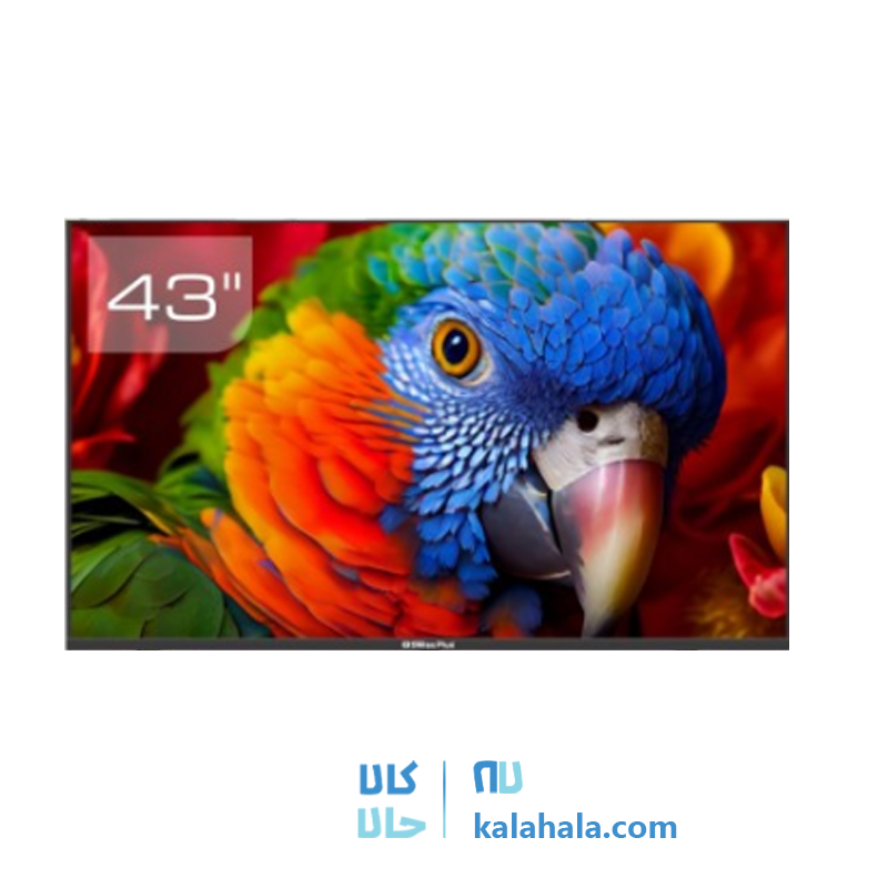 1767526355_XIIitqctoO.webp