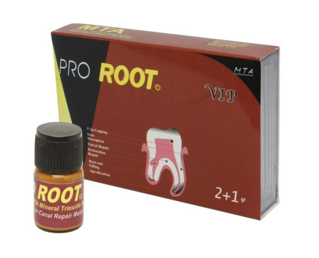 1767605499_FGpmBHNR5g.webp