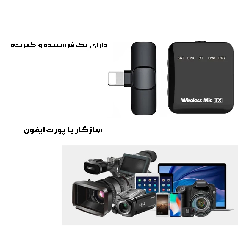 1770840637_aNJxKpuAwN.webp