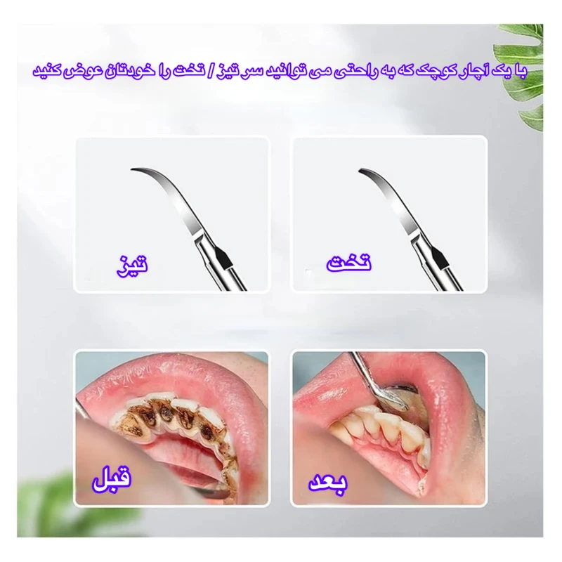 1770840732_YYHeuZmhwN.webp