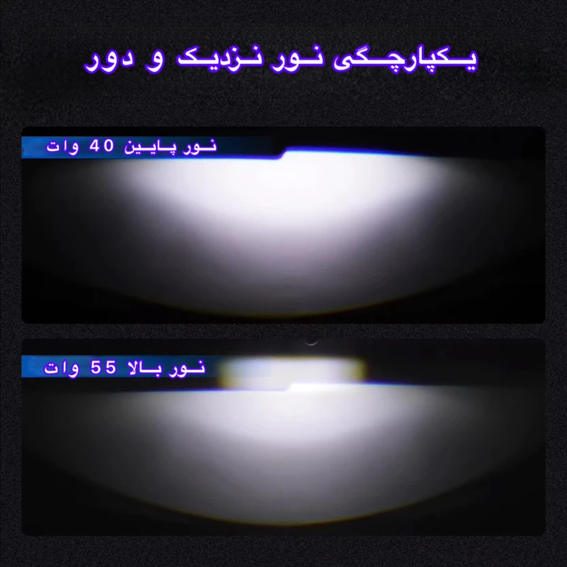 1770841246_COmyEeaNsV.webp