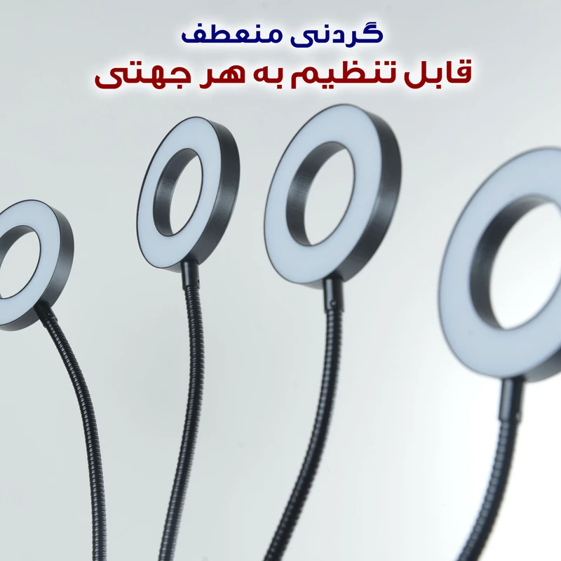 1770841409_Cf5jBCtHzG.webp
