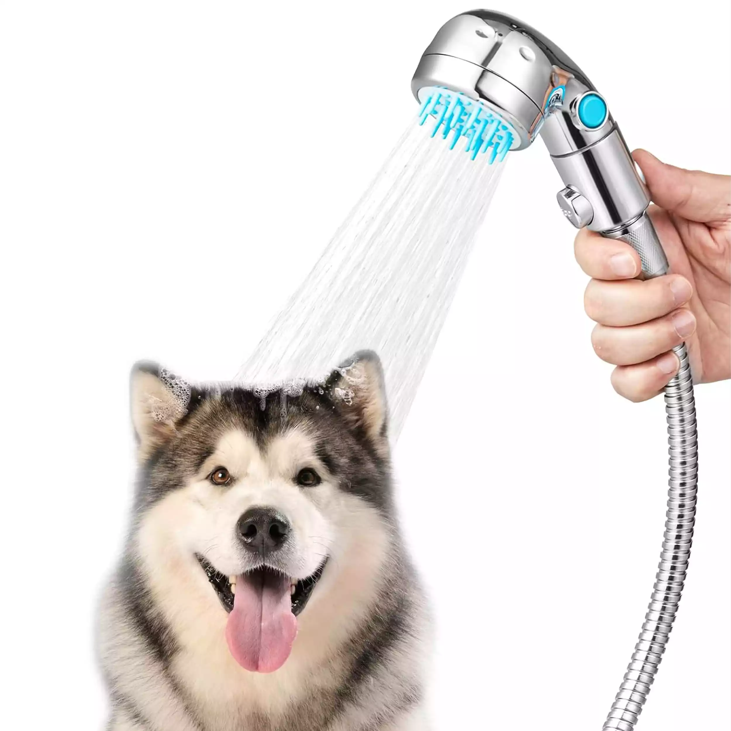 1770841780_3k0ErfuMGD.webp