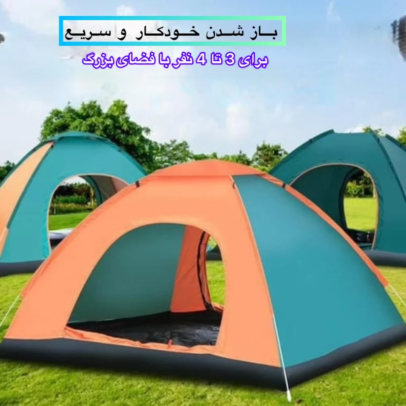 1770841954_MUEhv9D0IS.webp