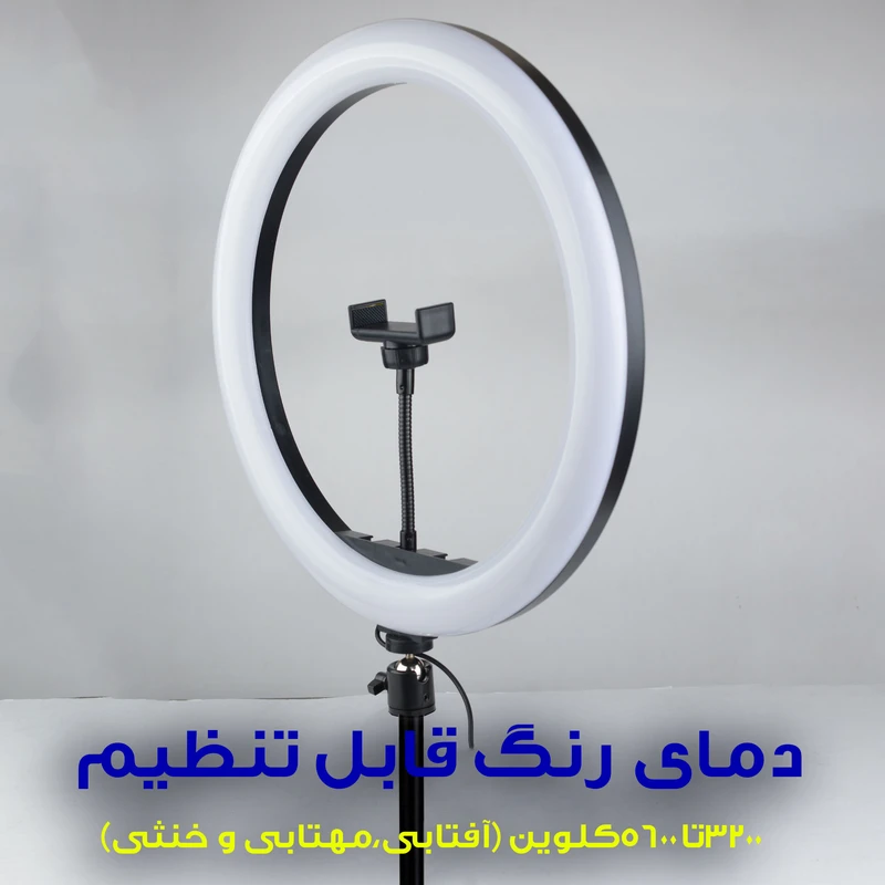 1770842029_fEQghtfDo2.webp