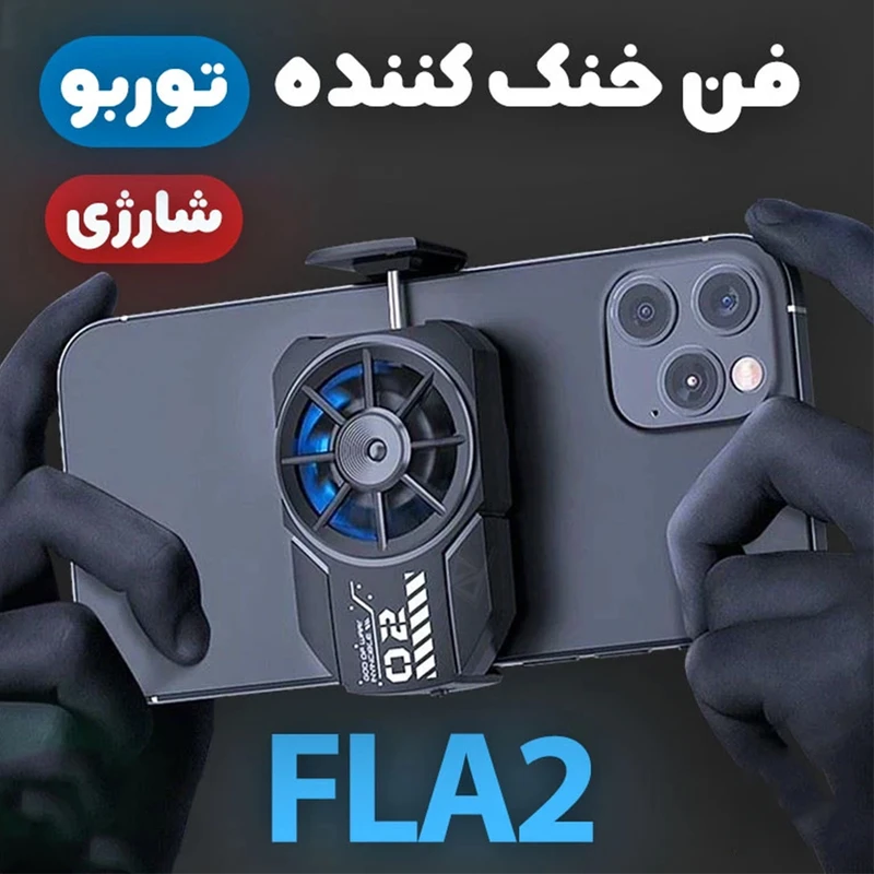 1770842069_mgJ9Afvfzf.webp