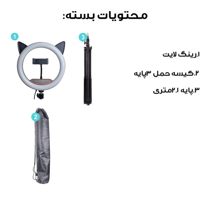 1770842198_StPQSkREjd.webp