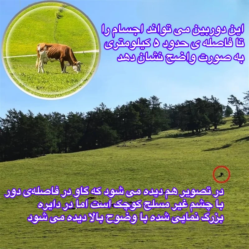 1770842212_Y7oHUiYc5H.webp