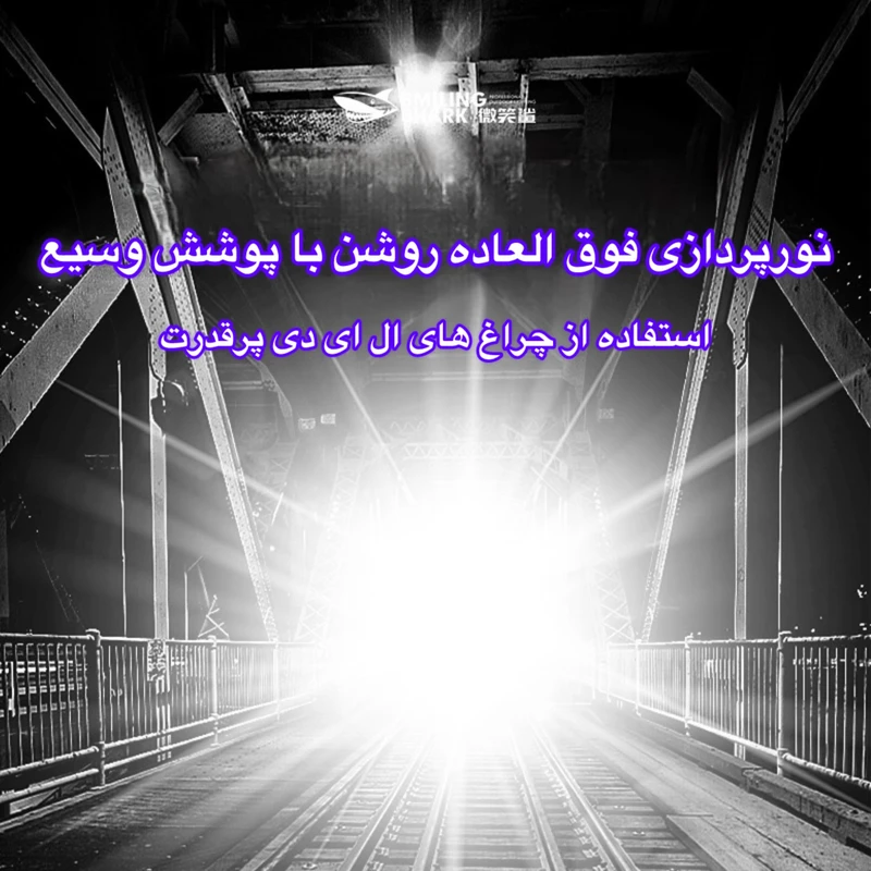 1770842265_JUylS5bTpS.webp