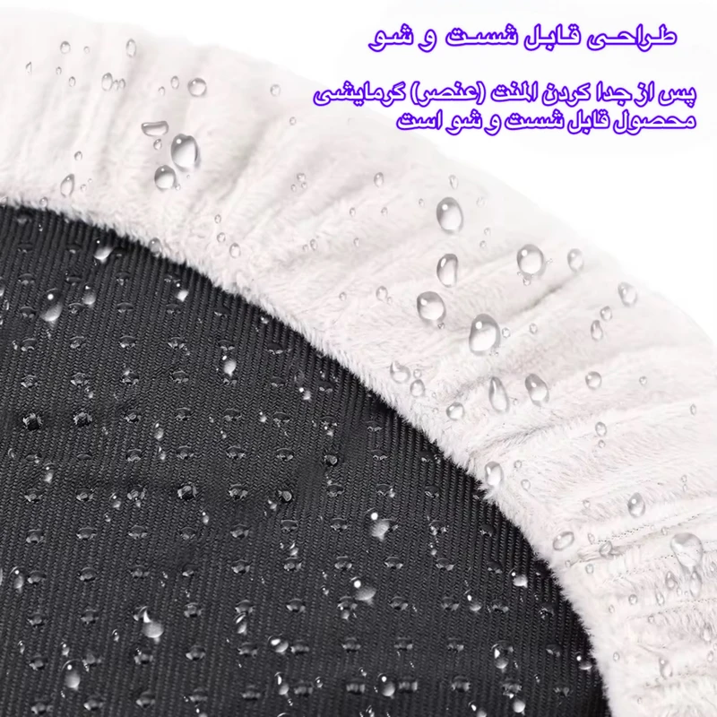 1770842349_MKjcIWkrBj.webp