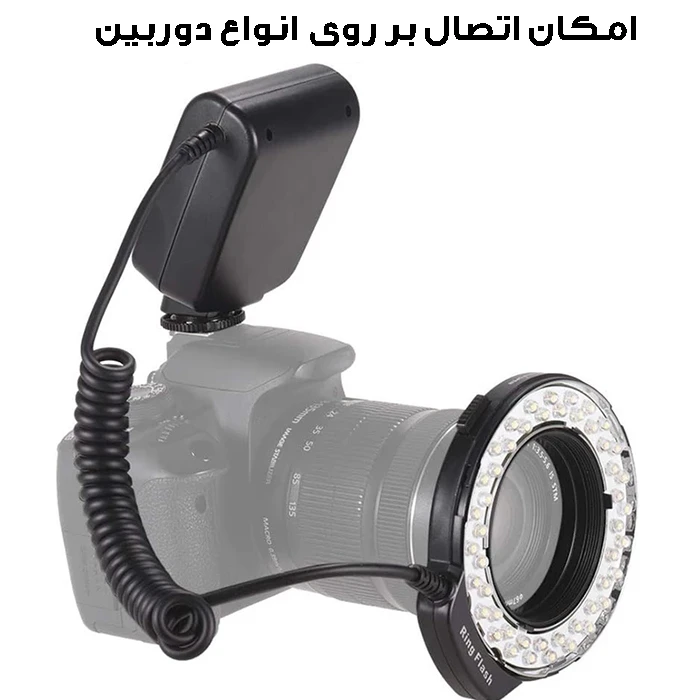 1770842368_rOTbBhsGPs.webp