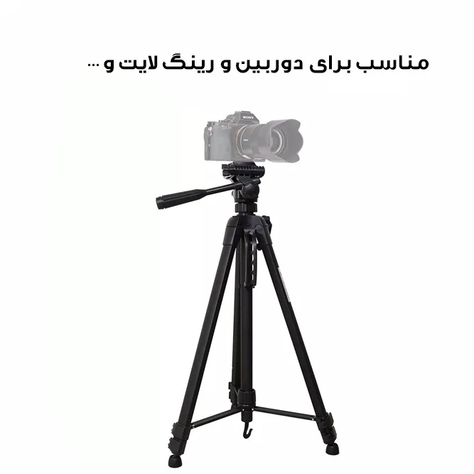 1770842402_F7qHknXJJR.webp
