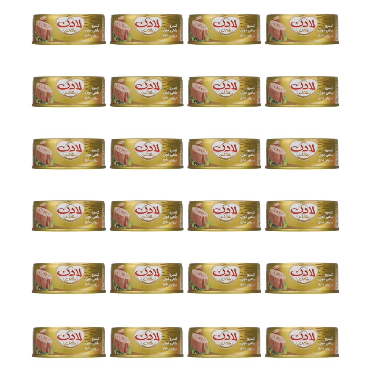 1771672568_MdnWFlUmU8.webp