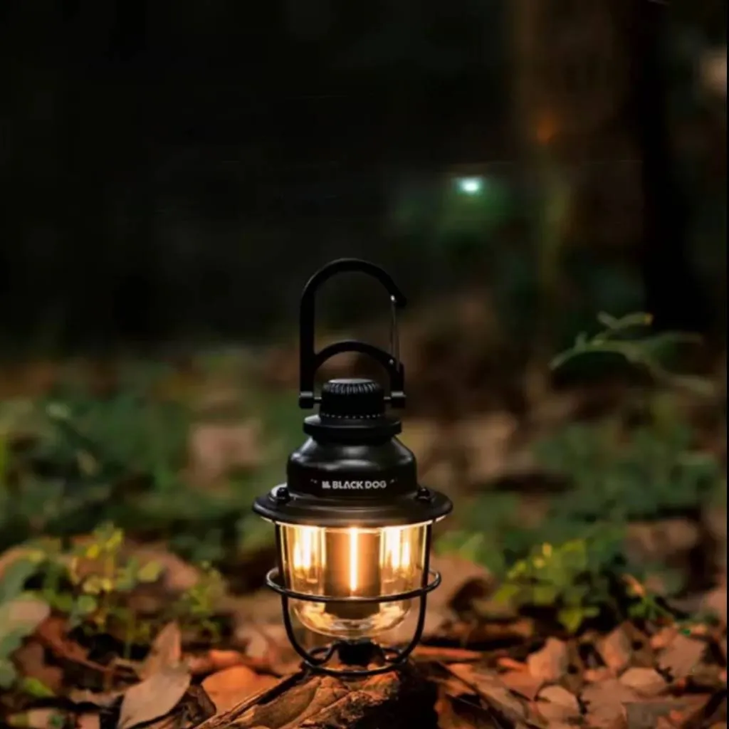 1780073611_J5iiECqb6O.webp